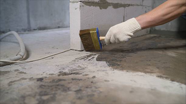 SJ Waterproofing Pros Crawl Space Encapsulation coverage map for Steele, AL and surrounding area
